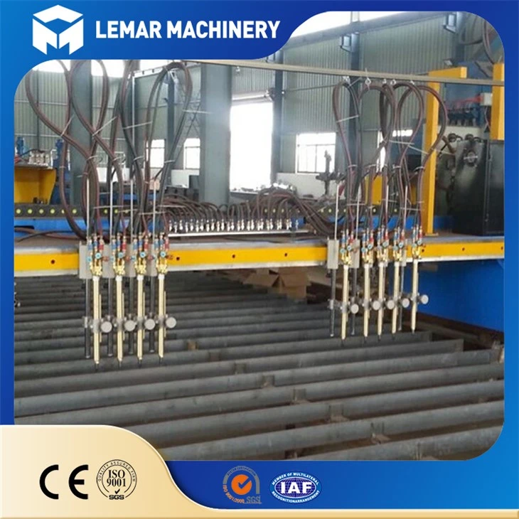 Multi-head strip cutting machine 1